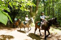 Au Grand Chemin vous avez rendez vous avec le Cheval Nature